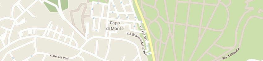 Mappa della impresa centro diagnostico lieti sas di rocco castaldo e c a NAPOLI