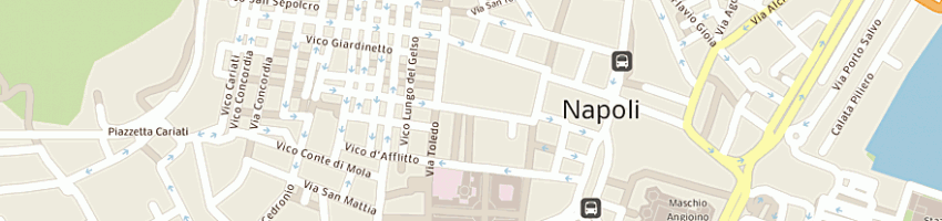 Mappa della impresa concentrazione nazionale combattenti a NAPOLI