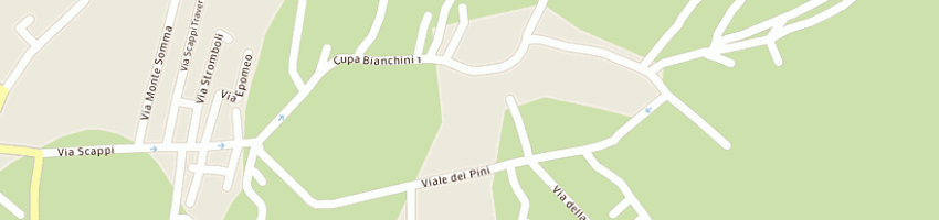 Mappa della impresa de simone aniello a TORRE DEL GRECO