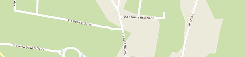 Mappa della impresa rica srl a SOMMA VESUVIANA