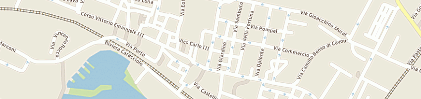 Mappa della impresa varaity baby di francesco arcella sas a NAPOLI