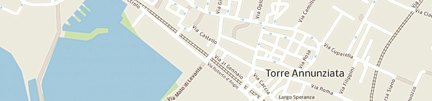 Mappa della impresa amoruso domenico a TORRE ANNUNZIATA