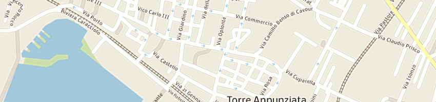 Mappa della impresa buondonno giuseppina a TORRE ANNUNZIATA