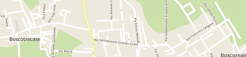 Mappa della impresa di salvatore giuseppina a BOSCOREALE