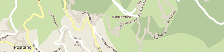 Mappa della impresa marrone new shop di cuccaro francesco a POSITANO