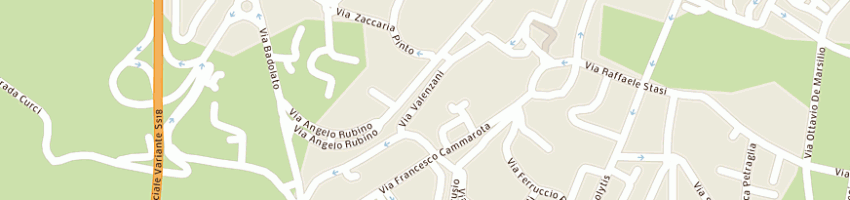 Mappa della impresa elettroriparazioni di conte maria e c sas a VALLO DELLA LUCANIA