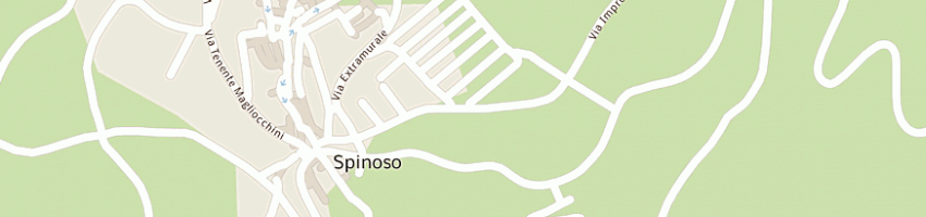 Mappa della impresa solimando antonio rocco a SPINOSO