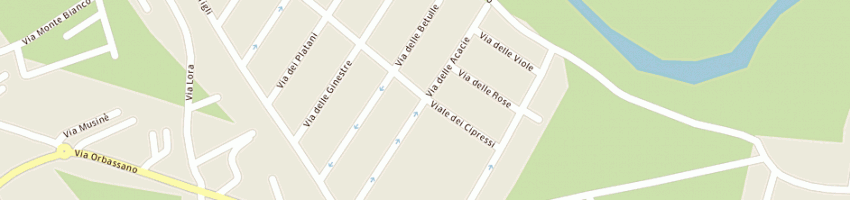 Mappa della impresa studio dentistico santa patrizia di anglesio farina a BRUINO