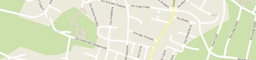 Mappa della impresa fecchio riccardo a RIVOLI