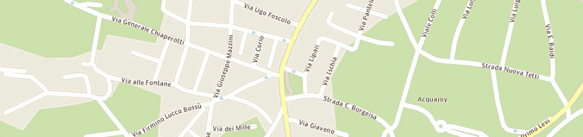 Mappa della impresa chiappero michele a RIVOLI