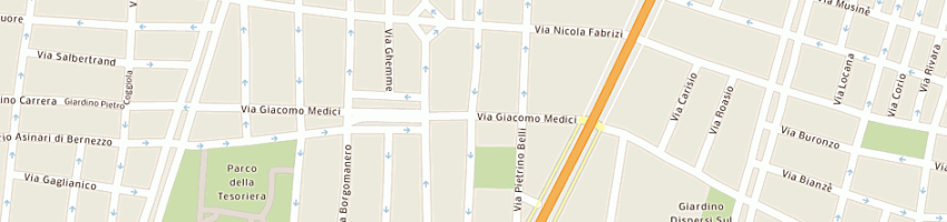 Mappa della impresa mizar consulting services srl a TORINO