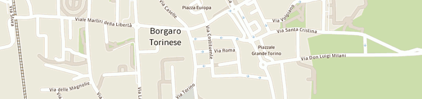 Mappa della impresa amr snc di magistris roberto e c a BORGARO TORINESE