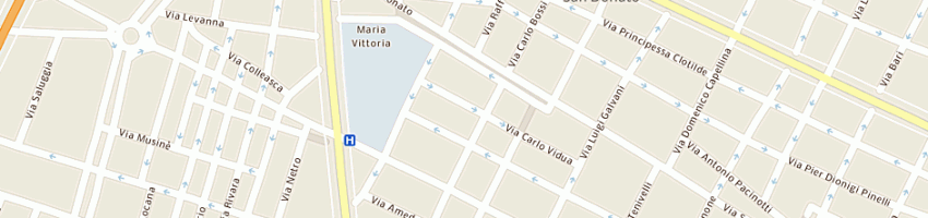 Mappa della impresa magit di brizzolara mauceri luigia e c (sas) a TORINO
