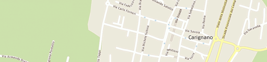 Mappa della impresa ravizza giuseppe a CARIGNANO
