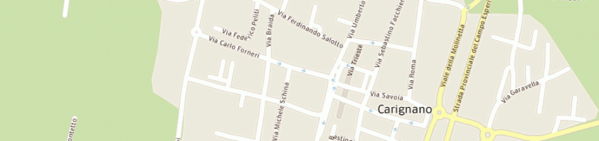 Mappa della impresa meini e leone snc di meini alessandro e c a CARIGNANO
