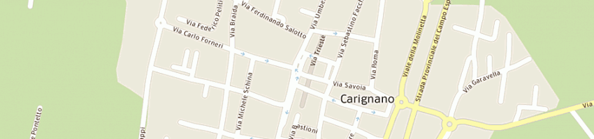 Mappa della impresa dibah di apostol manuela a CARIGNANO
