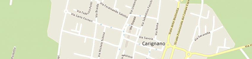 Mappa della impresa anlu sas di novajra antonella a CARIGNANO