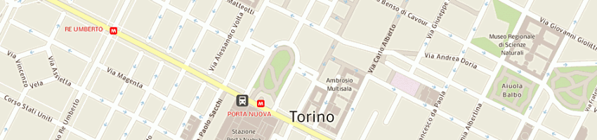Mappa della impresa zami sas di lazzaretto stefania pomi alessandra e c a TORINO