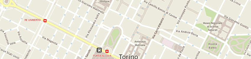 Mappa della impresa arbiter sas di merzagora e c a TORINO