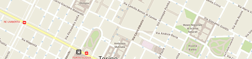 Mappa della impresa mega snc di alemani m e c a TORINO