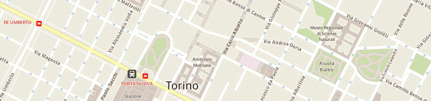Mappa della impresa i limoni neri di camisassa gabriella e c (snc) a TORINO