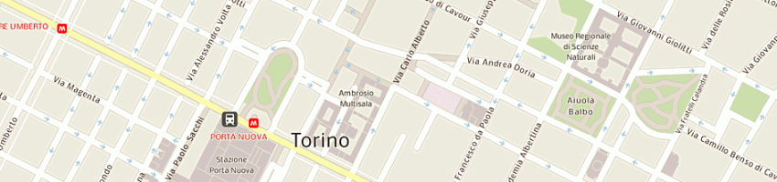 Mappa della impresa mgm service sas di santia' marcello e c a TORINO