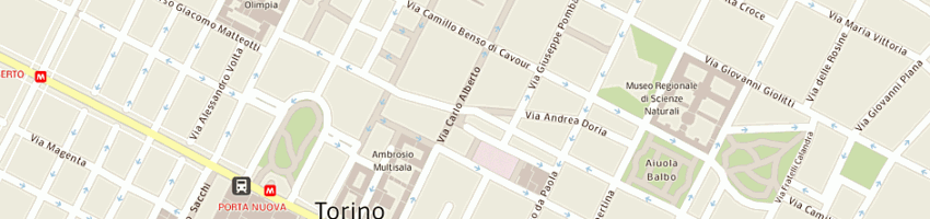 Mappa della impresa catering di cappon antonello e riccardo sas a TORINO