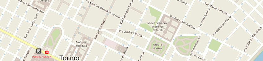 Mappa della impresa la strana coppia srl a TORINO