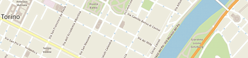 Mappa della impresa rittatore massimo a TORINO