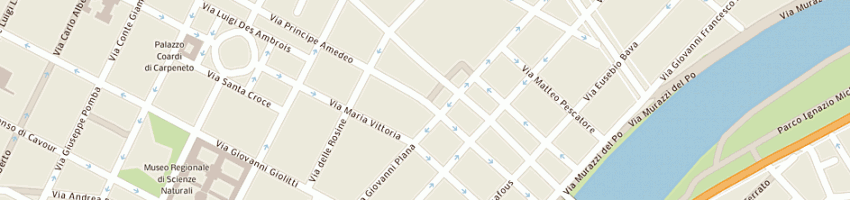 Mappa della impresa tosetti e partners professionisti associati spa a TORINO