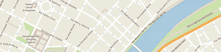Mappa della impresa nrg srl a TORINO