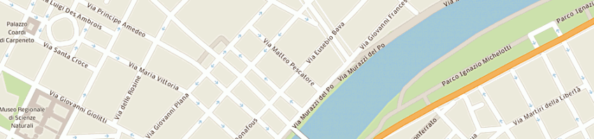 Mappa della impresa aliware sas di pastelli f e c a TORINO