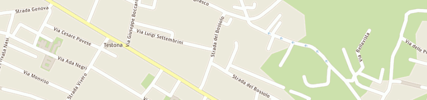 Mappa della impresa centro veterinario torinese srl a MONCALIERI