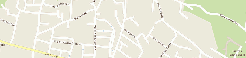 Mappa della impresa societa' di fatto villa di salute di demichelis dr carlo e c sas a TROFARELLO