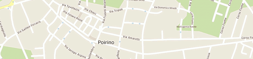 Mappa della impresa istituto ottico rodi snc di roggia guido e d'imperio giovanni a POIRINO