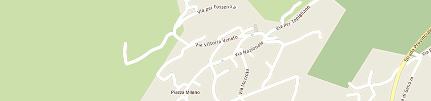 Mappa della impresa tagini sas di tagini paolo - tagini fabrizio felice e c a COLAZZA