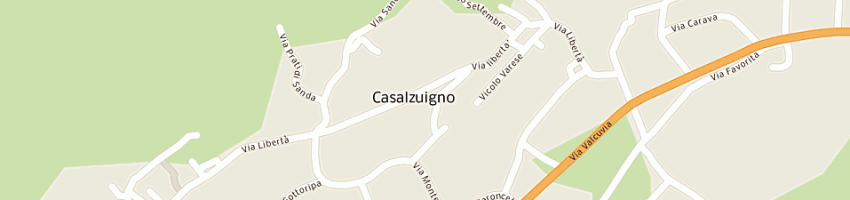 Mappa della impresa rias sas di braghini antonio e c a CASALZUIGNO