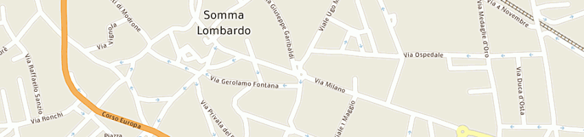 Mappa della impresa magnoli francesco a SOMMA LOMBARDO