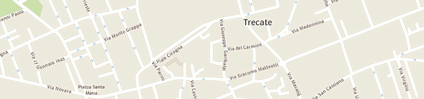 Mappa della impresa interflex spa a TRECATE