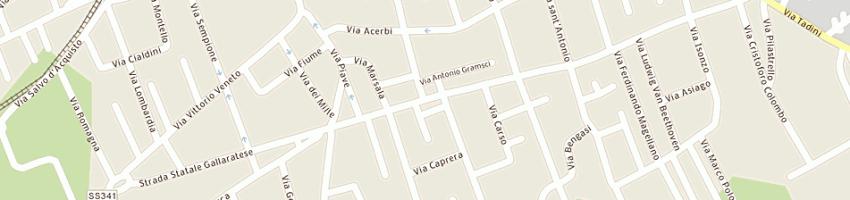 Mappa della impresa tagli e dettagli di montenero stefania a CASTANO PRIMO