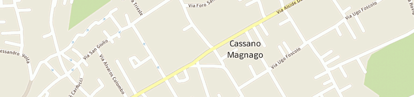 Mappa della impresa liati giovanni snc di liati gianfranco e c a CASSANO MAGNAGO