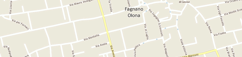 Mappa della impresa azienda servizi a FAGNANO OLONA