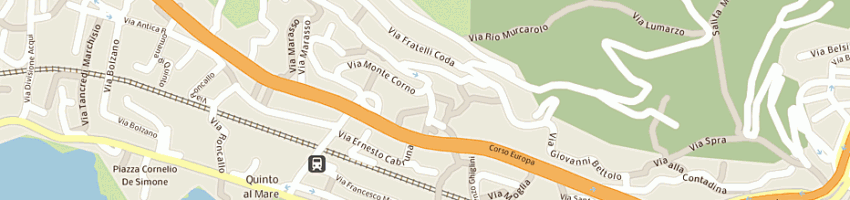 Mappa della impresa istituto madonna del soccorso a GENOVA