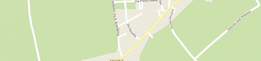 Mappa della impresa tomasi mario a ZINASCO