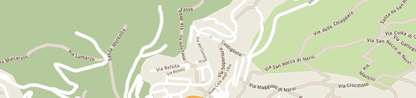 Mappa della impresa ciessei srl a GENOVA