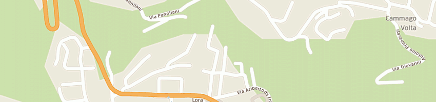 Mappa della impresa elsa di lissi nicoletta a COMO