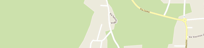 Mappa della impresa rini e c srl a CANTU 