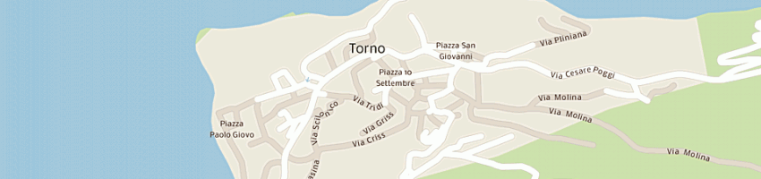 Mappa della impresa alesani lazzarini del bosco snc a TORNO