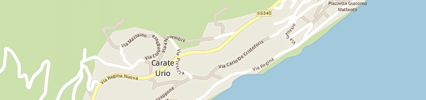 Mappa della impresa i canapi srl a CARATE URIO