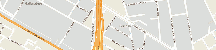 Mappa della impresa magic srl a MILANO